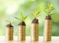 Afkast af investering